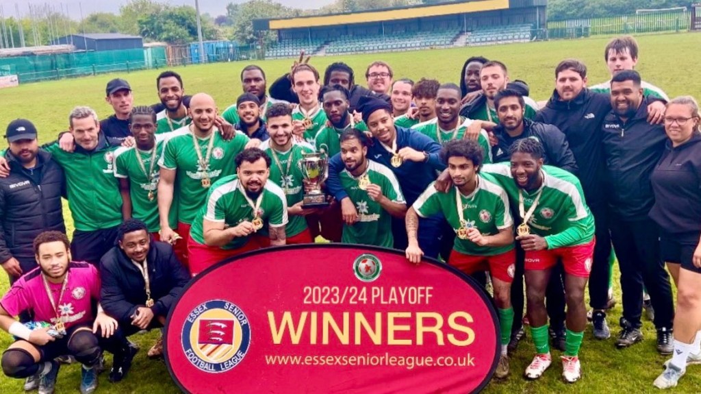 The rise of the&nbsp;Tigers!